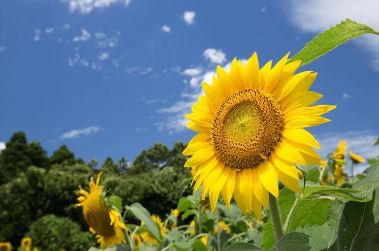 8255d5f4f594-1eed-4528-a999-51710166f7c3_l